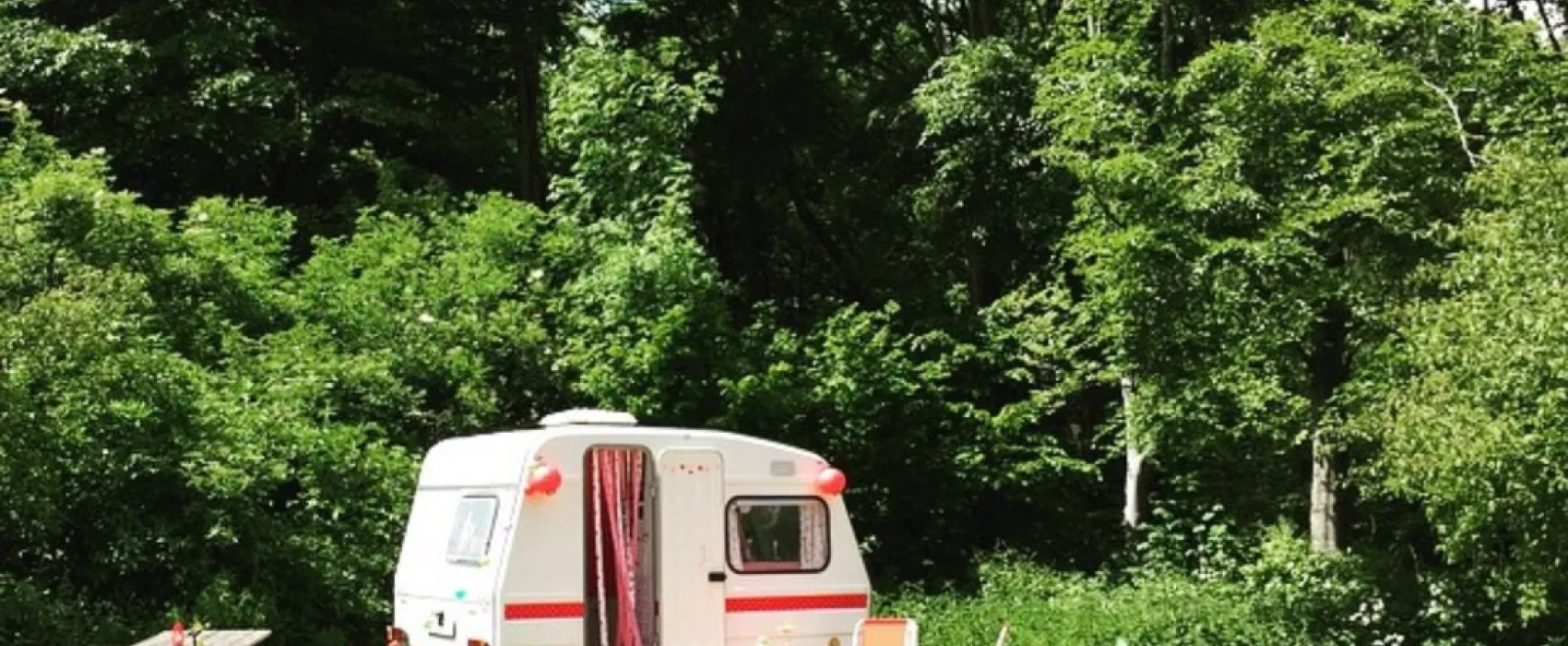 Natuurkampeerterrein De Kemphaan