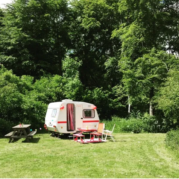 natuurkampeerterrein-de-kemphaan-almere-qnyyw