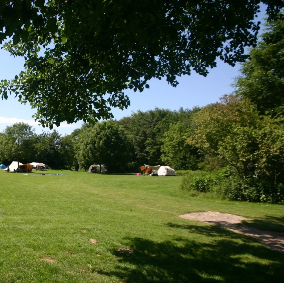 natuurkampeerterrein-de-kemphaan-almere-u7yff