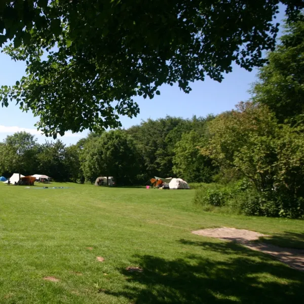 Natuurkampeerterrein De Kemphaan