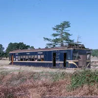 smythesdale-gardens-reserve-campground-smythesdale-ps8ns