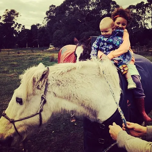 smythesdale-gardens-reserve-campground-smythesdale-tovmr