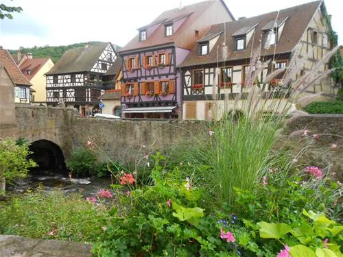camping-municipal-kaysersberg-kaysersberg-i6bmx
