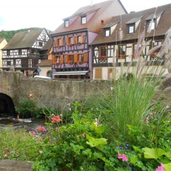 camping-municipal-kaysersberg-kaysersberg-i6bmx