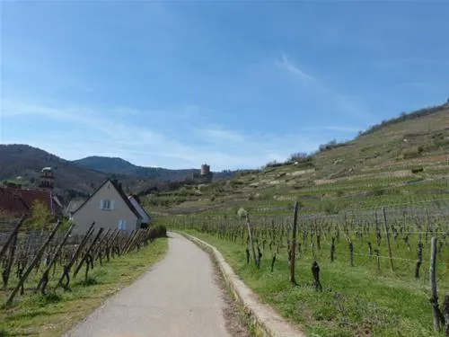 camping-municipal-kaysersberg-kaysersberg-porxt
