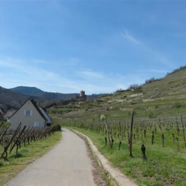 camping-municipal-kaysersberg-kaysersberg-porxt
