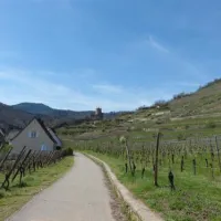 camping-municipal-kaysersberg-kaysersberg-porxt