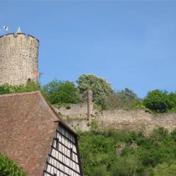 camping-municipal-kaysersberg-kaysersberg-vykix