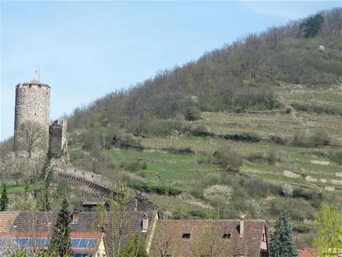 camping-municipal-kaysersberg-kaysersberg-wocnt