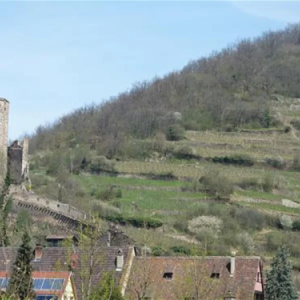 camping-municipal-kaysersberg-kaysersberg-wocnt