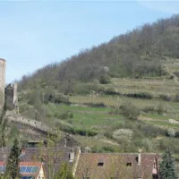 camping-municipal-kaysersberg-kaysersberg-wocnt