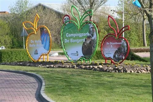 campingpark-de-bongerd-tuitjenhorn-qdt5q