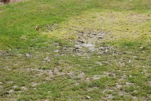 erholungspark-wehlingsheide-datteln-xj8ij