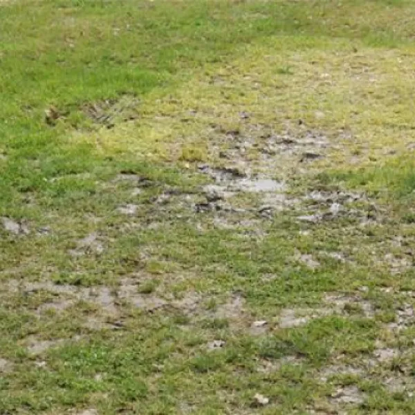 erholungspark-wehlingsheide-datteln-xj8ij