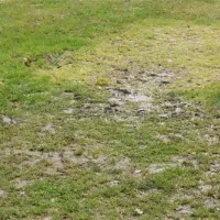 erholungspark-wehlingsheide-datteln-xj8ij