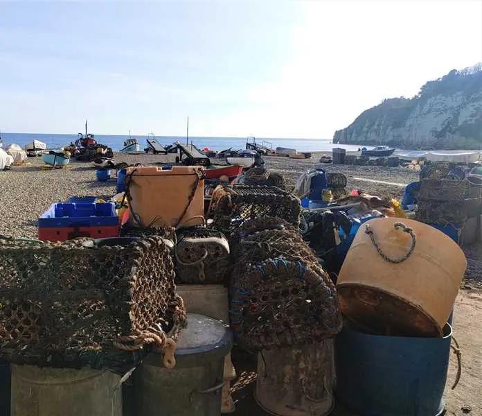 salcombe-regis-camping-and-caravan-park-sidmouth-tthfe