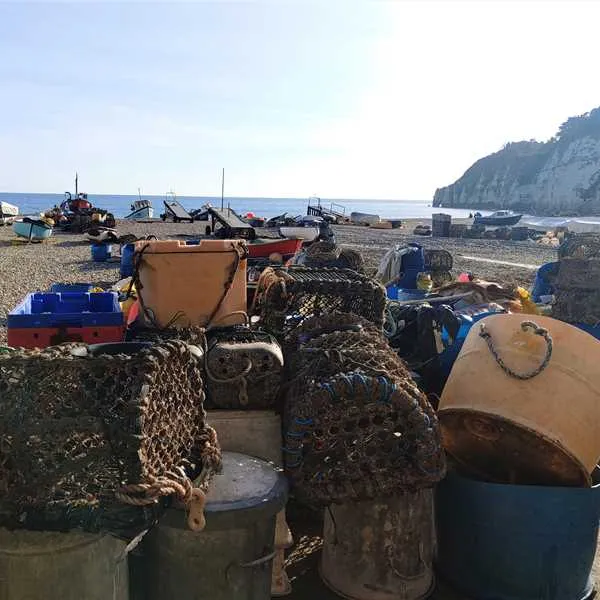salcombe-regis-camping-and-caravan-park-sidmouth-tthfe