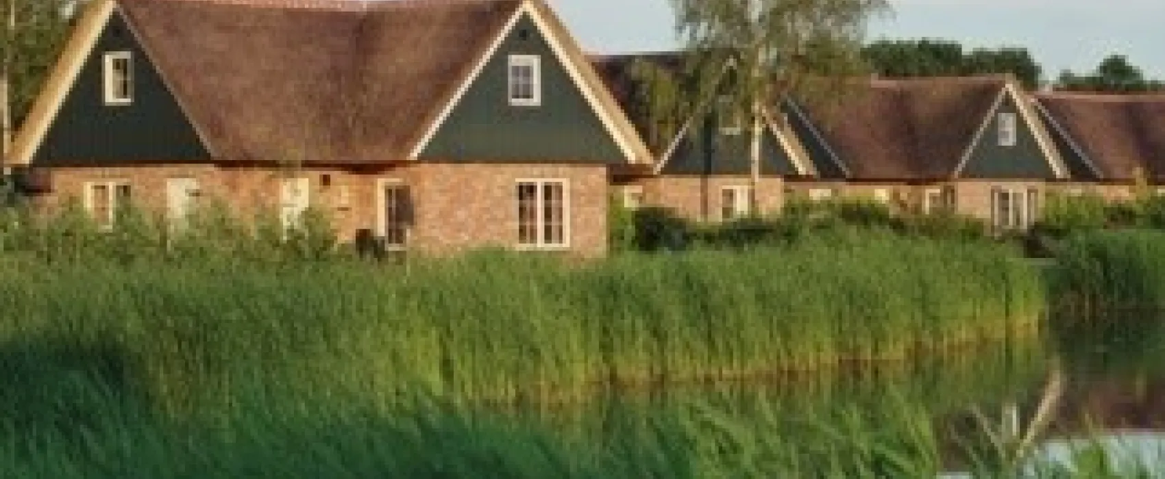 Camping Krolsbergen