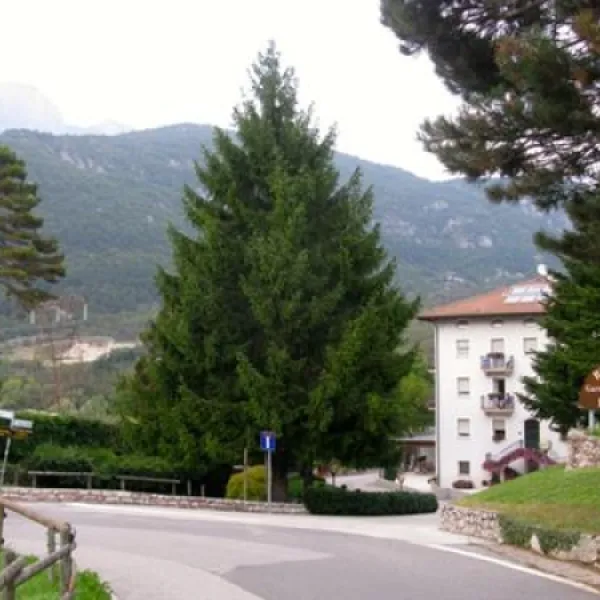 campeggio-lido-lilla-terlago-15bli