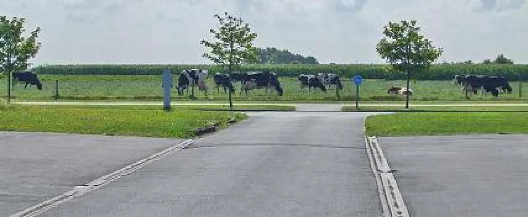 Camping Polderzicht