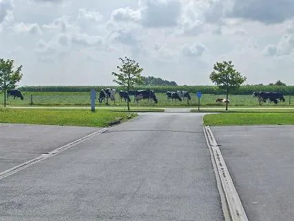 camping-polderzicht-bredene-pb3zh