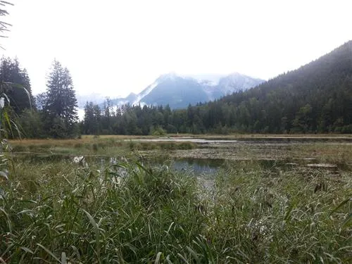 camping-simonhof-ramsau-2zqft