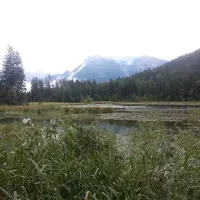 camping-simonhof-ramsau-2zqft