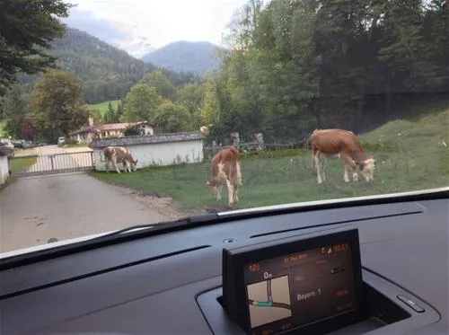 camping-simonhof-ramsau-7iosf