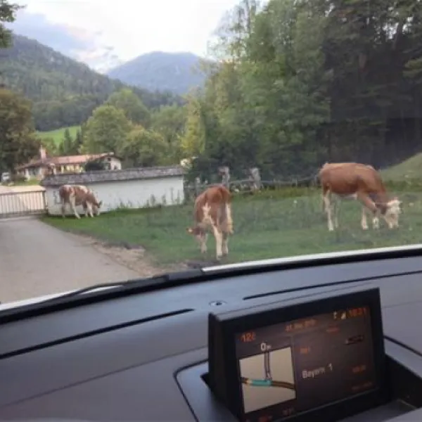 camping-simonhof-ramsau-7iosf
