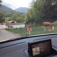 camping-simonhof-ramsau-7iosf