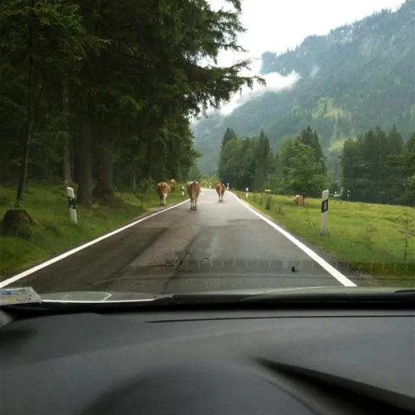 camping-simonhof-ramsau-dejtj
