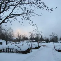 camping-simonhof-ramsau-nrhwc