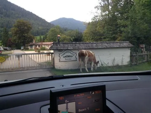 camping-simonhof-ramsau-oqujo