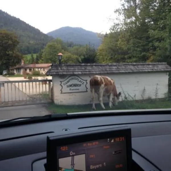 camping-simonhof-ramsau-oqujo