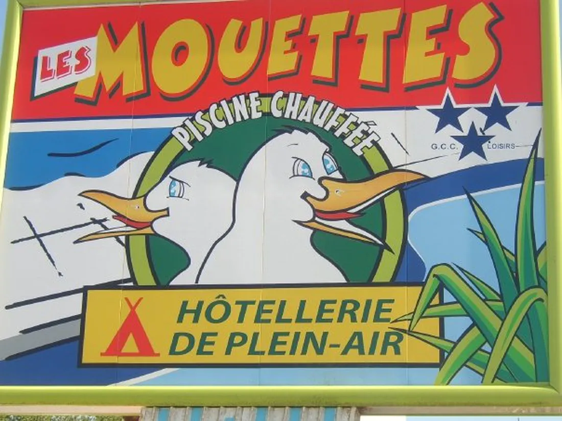 les-mouettes-st-hilaire-de-riez-vendee-fjdiw