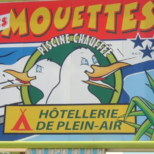 les-mouettes-st-hilaire-de-riez-vendee-fjdiw