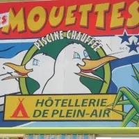 les-mouettes-st-hilaire-de-riez-vendee-fjdiw