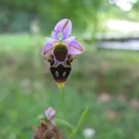 sites-et-paysages-saintlouis-lamontjoie-hhbtj