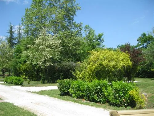 sites-et-paysages-saintlouis-lamontjoie-qbrui