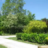 sites-et-paysages-saintlouis-lamontjoie-qbrui