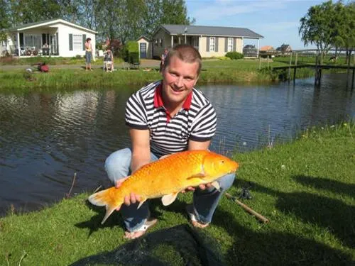 camping-t-akkertien-vollenhove-hcwzi