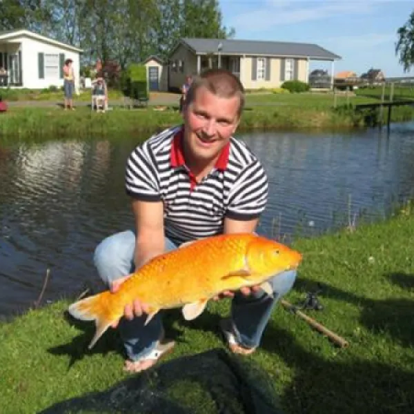 camping-t-akkertien-vollenhove-hcwzi