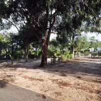 camping-zambujeira-zambujeira-do-mar-8bei3