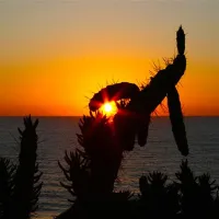 camping-zambujeira-zambujeira-do-mar-hqgmt