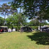 camping-de-kienehoef-sint-oedenrode-z5m3y