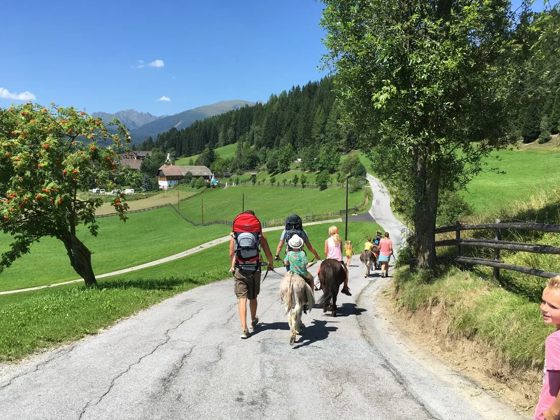 naturcamping-peterbauerhof-st-andr-sbyjp