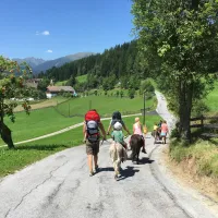 naturcamping-peterbauerhof-st-andr-sbyjp