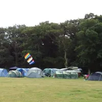 blacklands-farm-caravan-camping-henfield-ls7yj