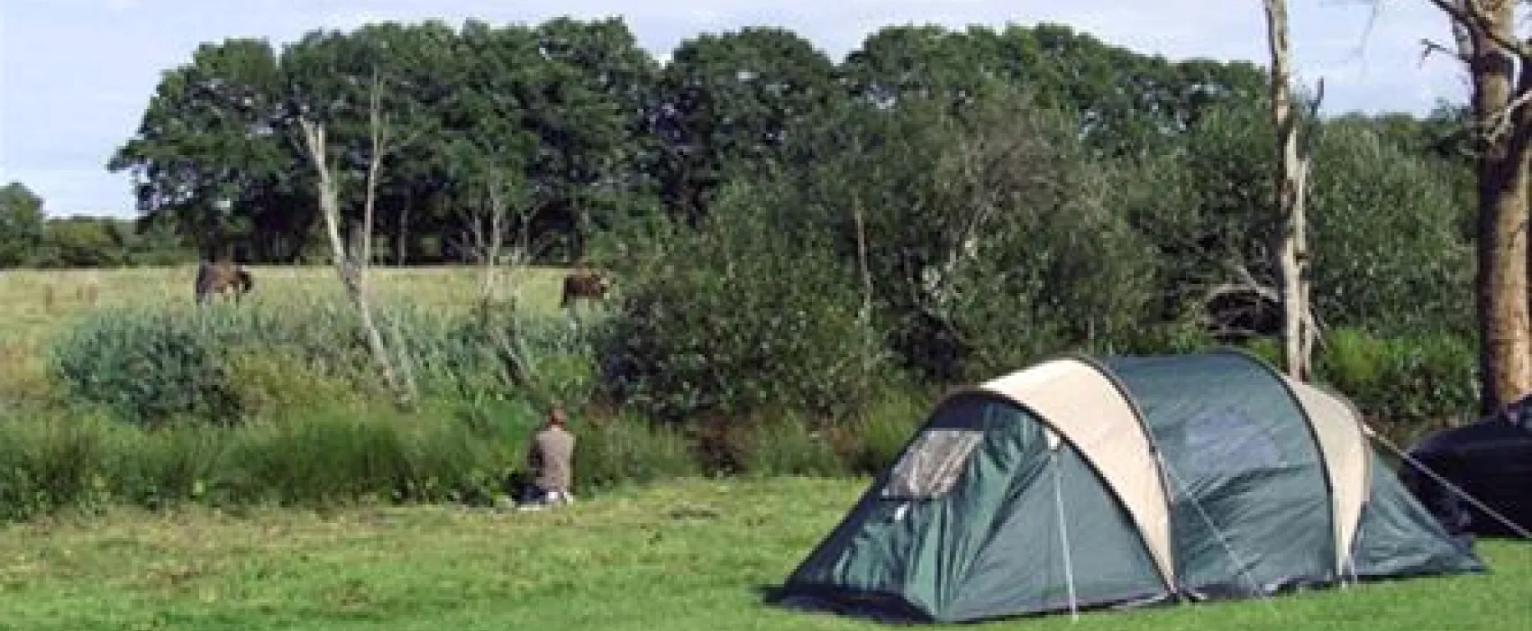 Blacklands Farm Caravan and Camping
