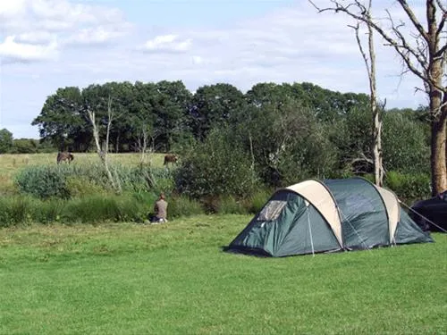 blacklands-farm-caravan-camping-henfield-m5s48
